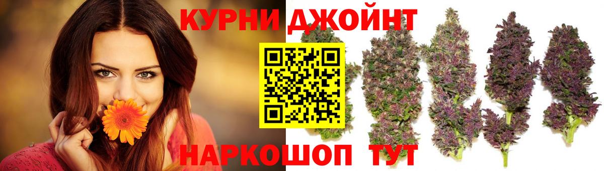 Канабис конопля  Вход с VPN  Ишим  МАРИХУАНА конопля  МАРИХУАНА семена 
